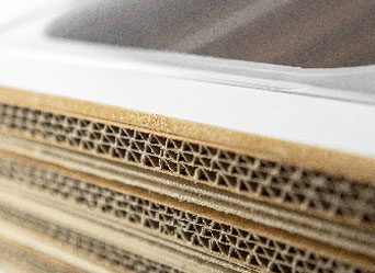 TK Green Design Chi Siamo Cartone